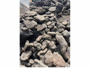 暴雨淋湿 铁渣豆