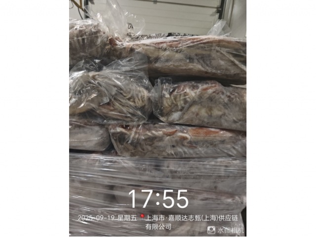 上海27.667吨失温受损鱿鱼