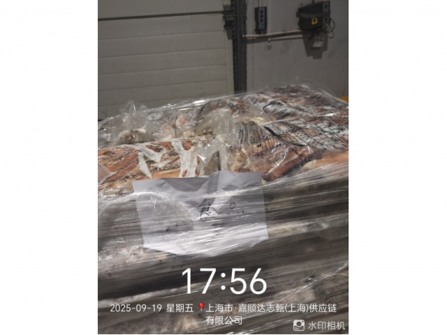 上海27.667吨失温受损鱿鱼