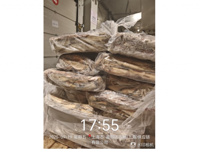 上海27.667吨失温受损鱿鱼