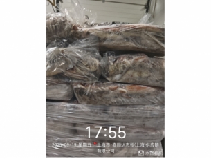 上海27.667吨失温受损鱿鱼