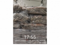 上海27.667吨失温受损鱿鱼