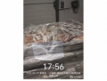 上海27.667吨失温受损鱿鱼