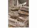 上海27.667吨失温受损鱿鱼