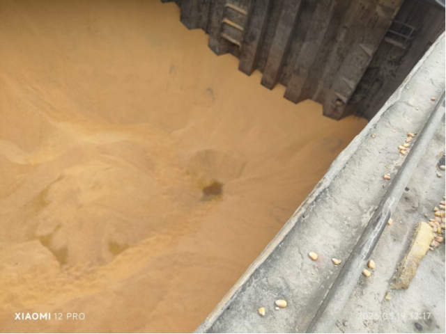 广西钦州约1160.62吨水湿玉米（中拍在线（福建）网络科技有限公司）