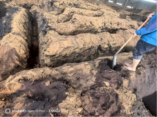 湖北荆州约1000吨自燃碳化的低芥子酸菜籽粕