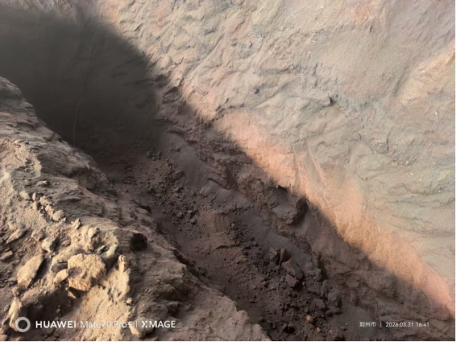 湖北荆州约1000吨自燃碳化的低芥子酸菜籽粕