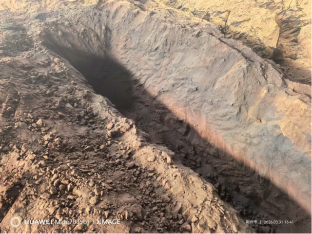 湖北荆州约1000吨自燃碳化的低芥子酸菜籽粕