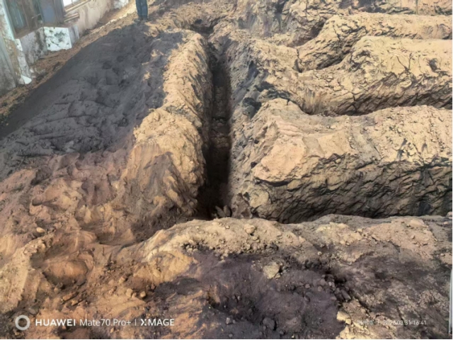 湖北荆州约1000吨自燃碳化的低芥子酸菜籽粕