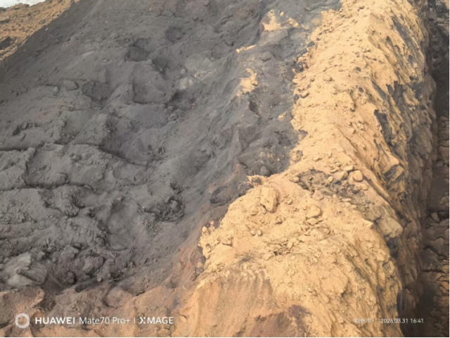 湖北荆州约1000吨自燃碳化的低芥子酸菜籽粕